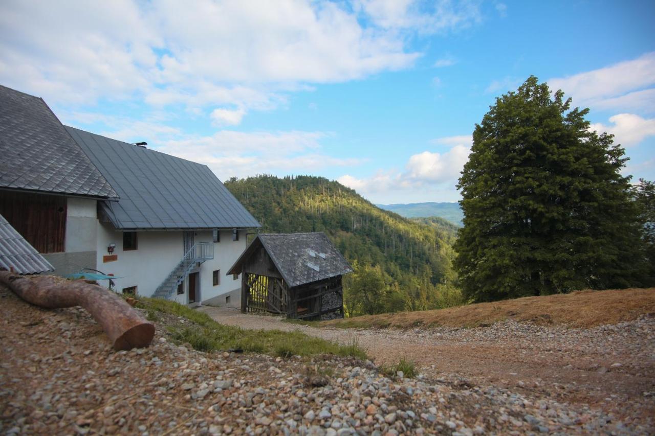 Apartma Gorski Razgled Srednja Vas v Bohinju Luaran gambar