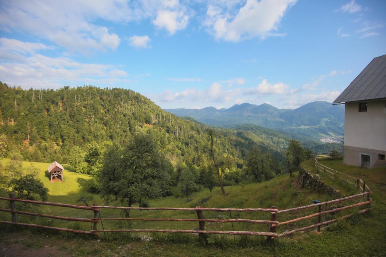 Apartma Gorski Razgled Srednja Vas v Bohinju Luaran gambar