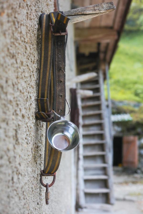 Apartma Gorski Razgled Srednja Vas v Bohinju Luaran gambar