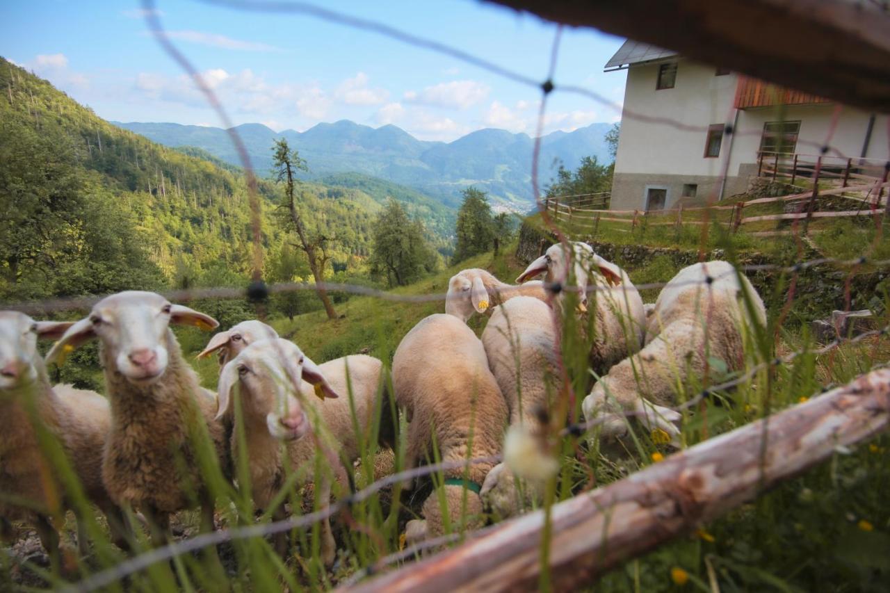 Apartma Gorski Razgled Srednja Vas v Bohinju Luaran gambar
