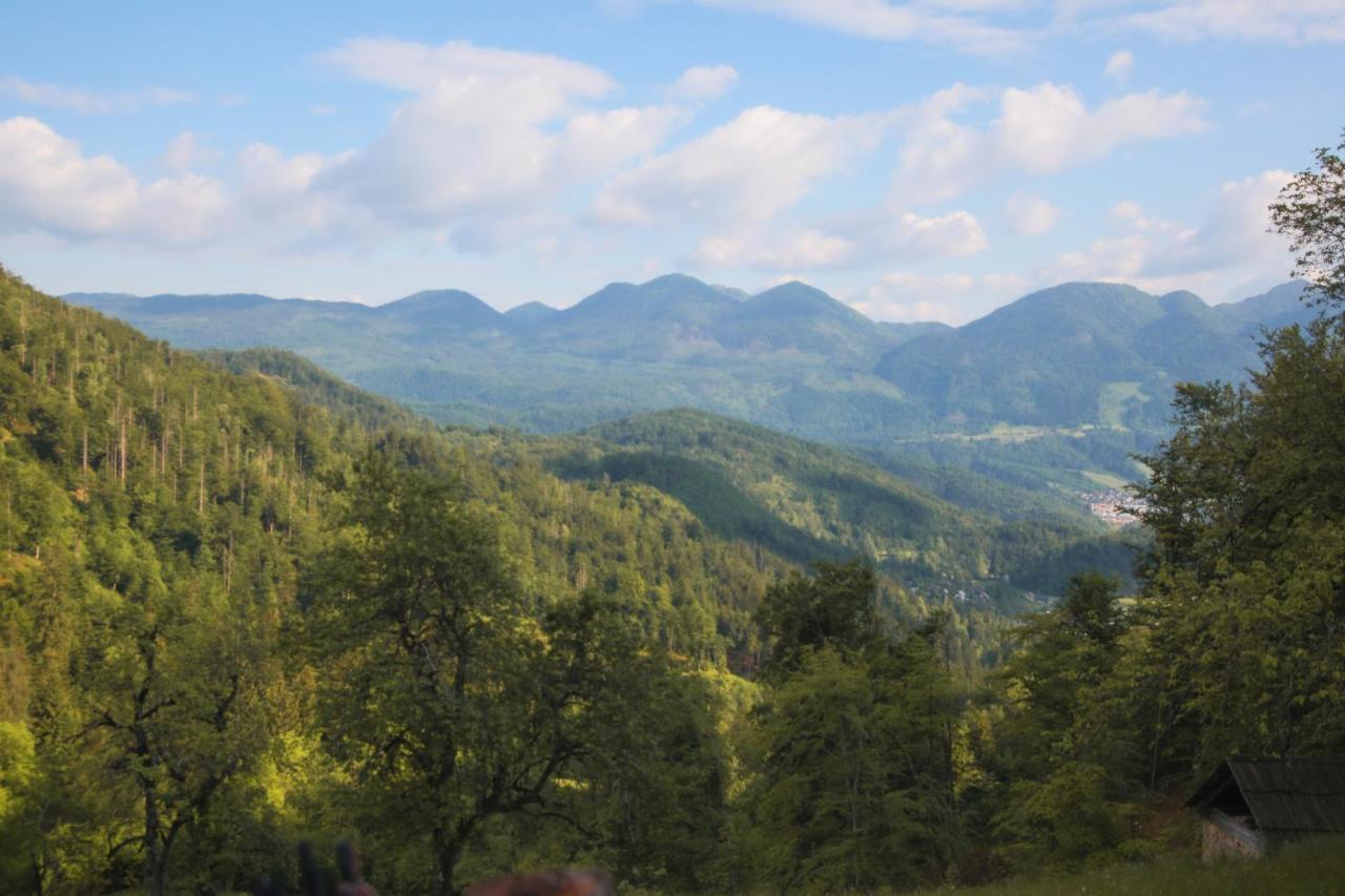 Apartma Gorski Razgled Srednja Vas v Bohinju Luaran gambar