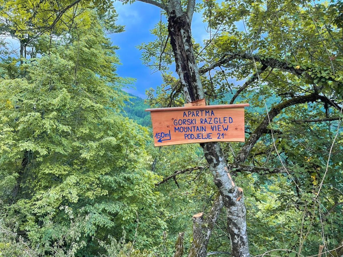 Apartma Gorski Razgled Srednja Vas v Bohinju Luaran gambar