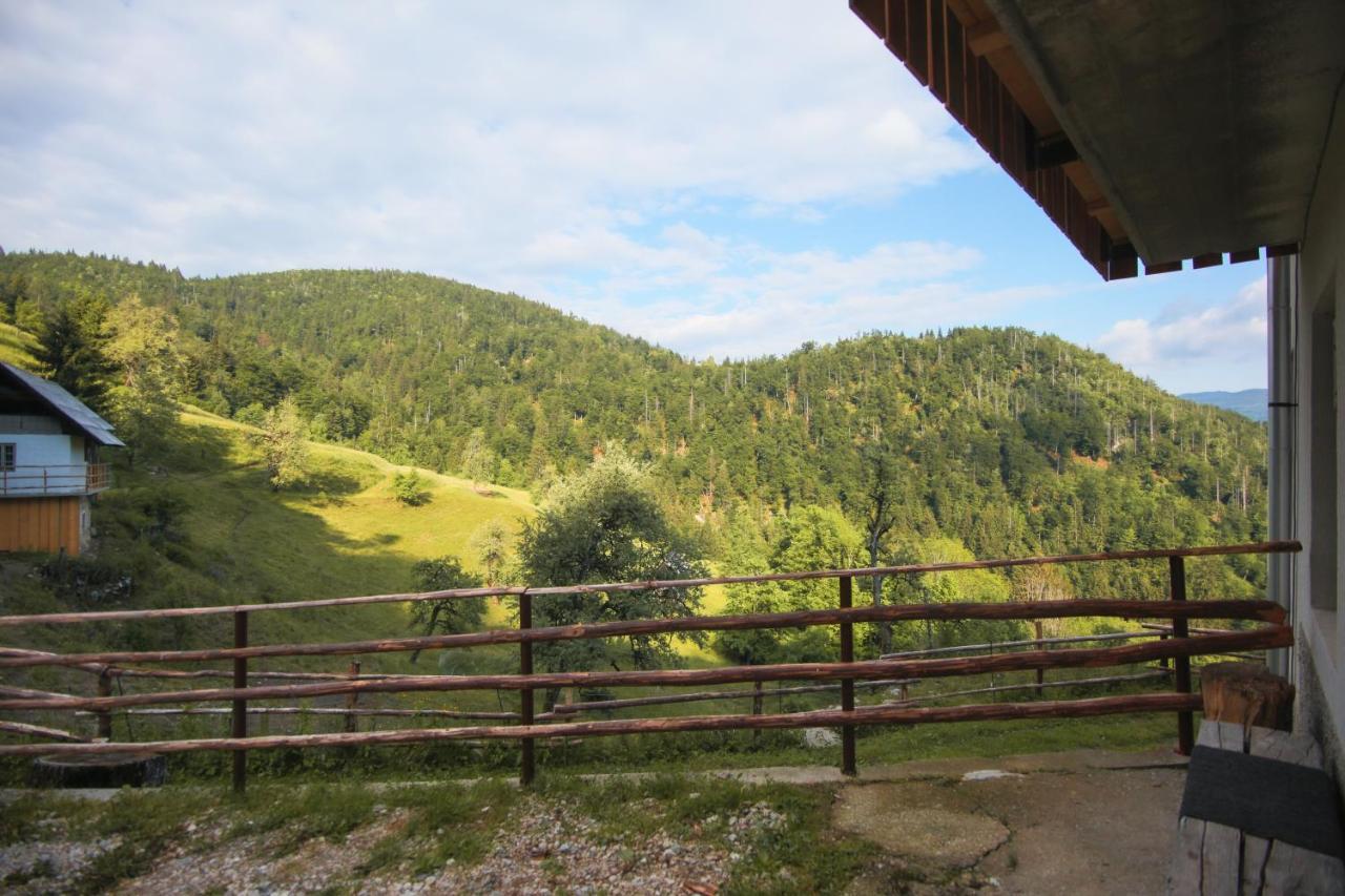 Apartma Gorski Razgled Srednja Vas v Bohinju Luaran gambar